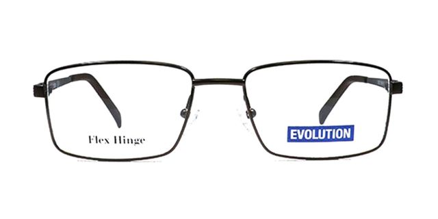 Evolution - EV2071